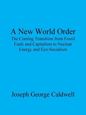 cover image of A New World Order